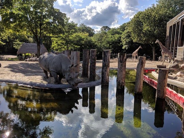 Zoológico de Copenhague